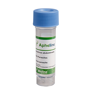 Apheline - 250 Adults per vial - Biological Control